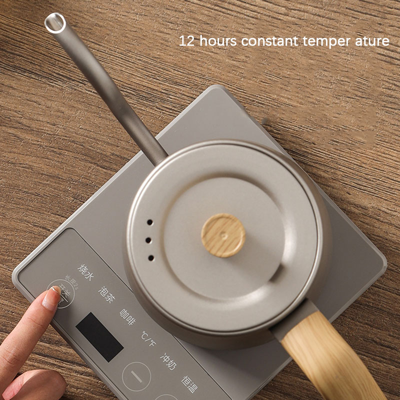 Electric Kettle Gooseneck - 110V 220V Ketel Teko Leher Angsa